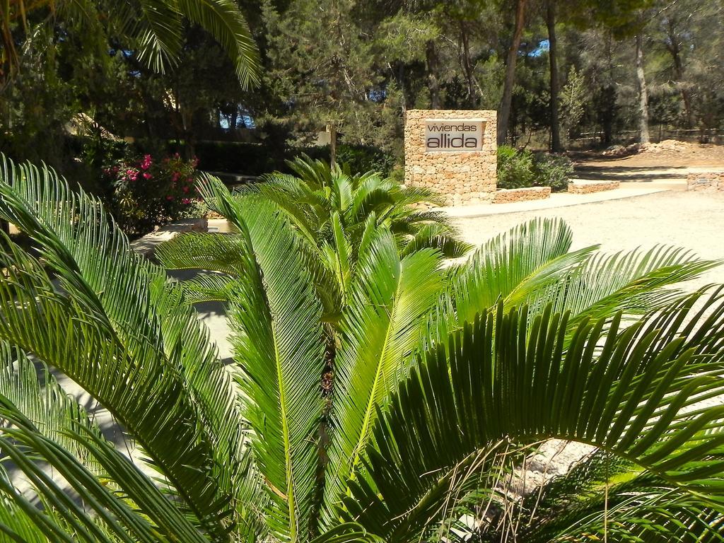 Viviendas Turisticas Vacacionales Allida Playa Migjorn Exterior foto